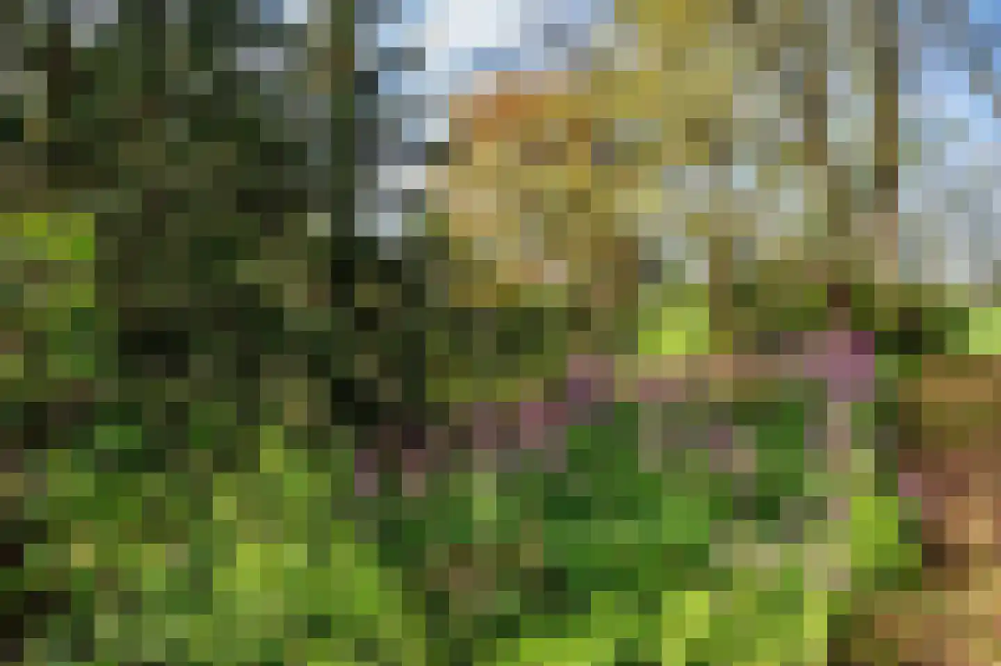 Roermondseweg 82 Haelen thumbnail 50