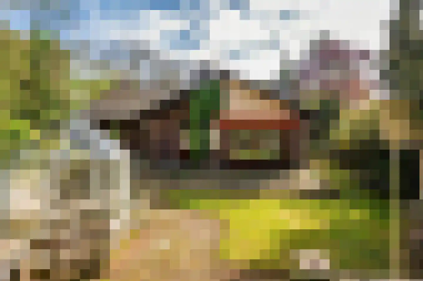 Roermondseweg 82 Haelen thumbnail 51