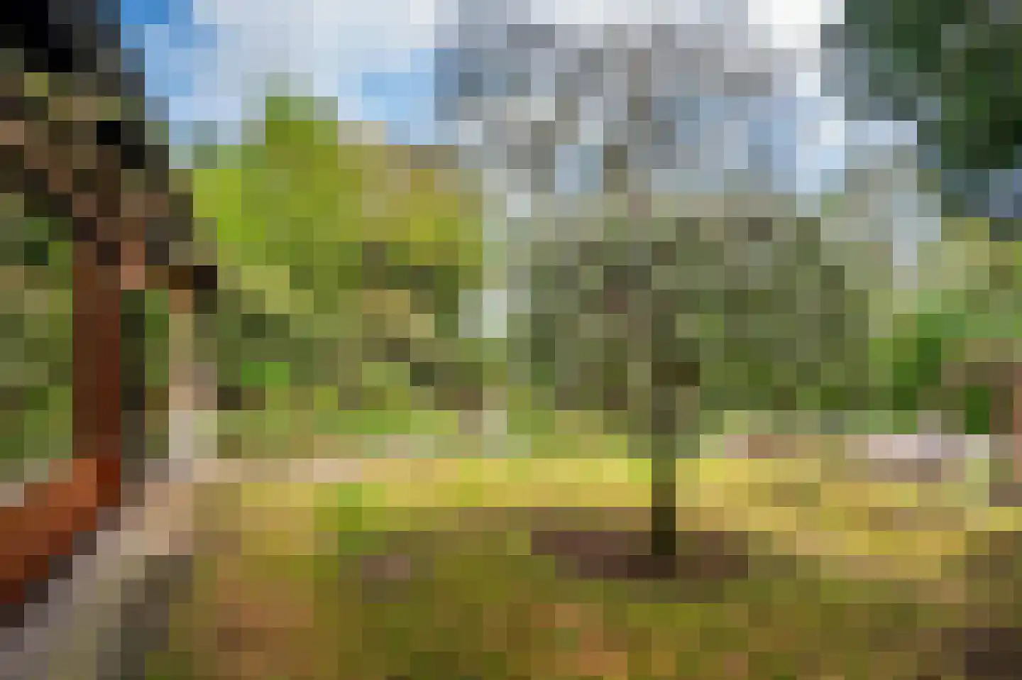 Roermondseweg 82 Haelen thumbnail 57