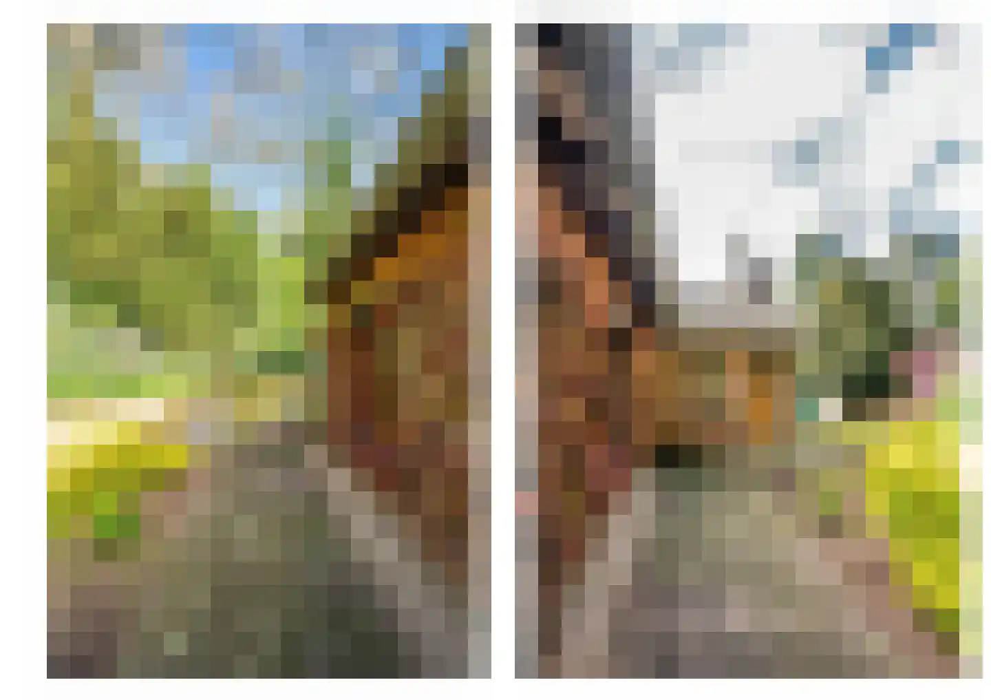 Roermondseweg 82 Haelen thumbnail 58