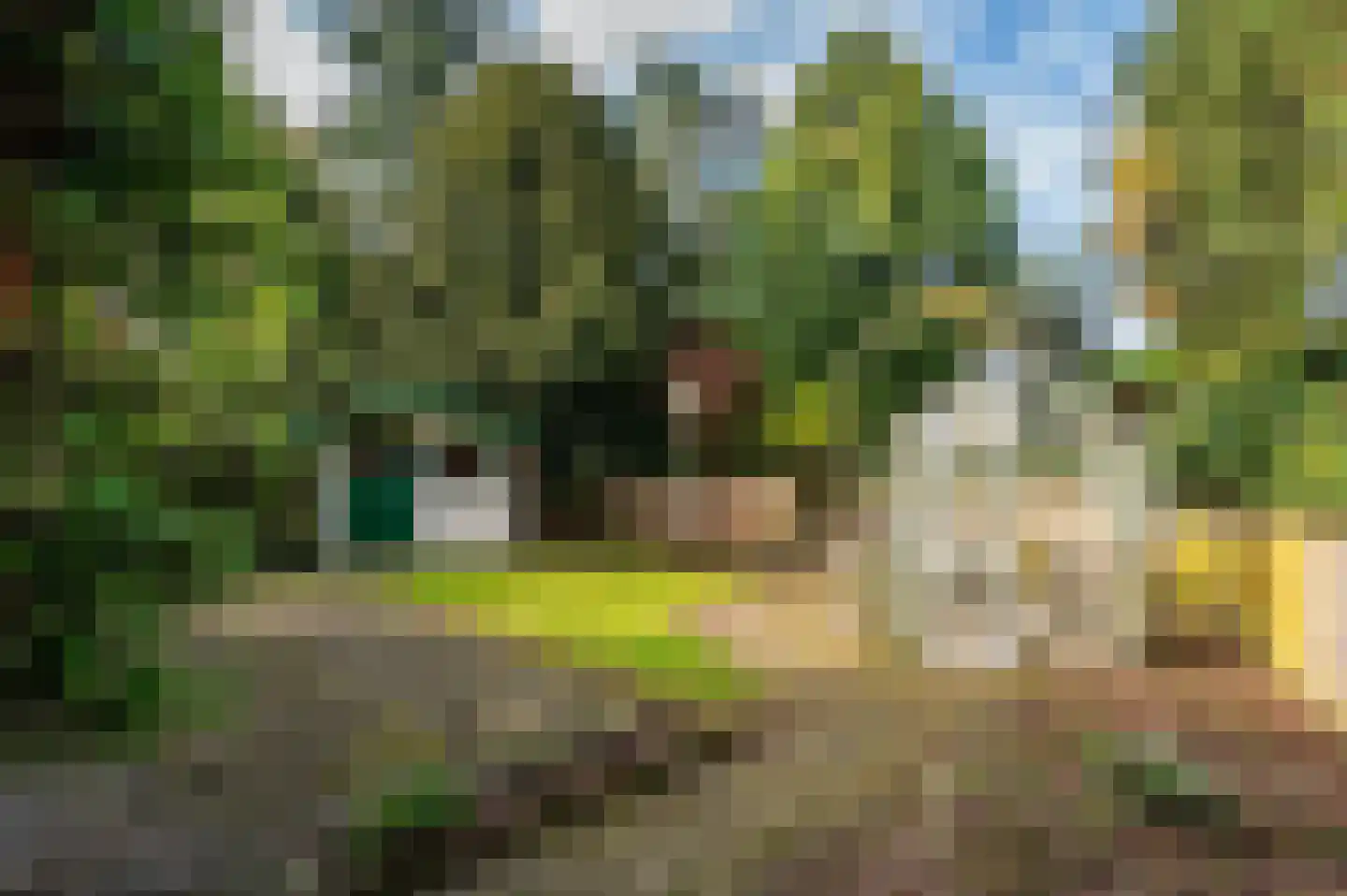 Roermondseweg 82 Haelen thumbnail 6
