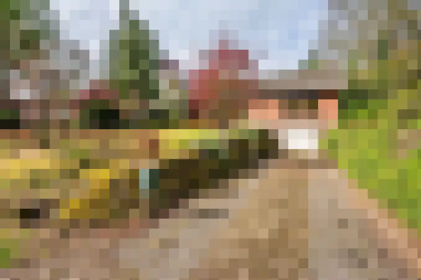 Roermondseweg 82 Haelen thumbnail 63