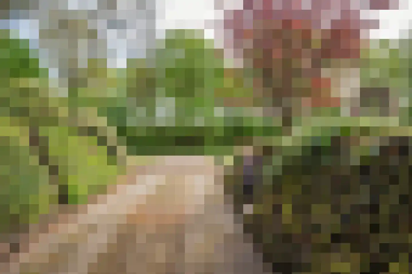 Roermondseweg 82 Haelen thumbnail 65