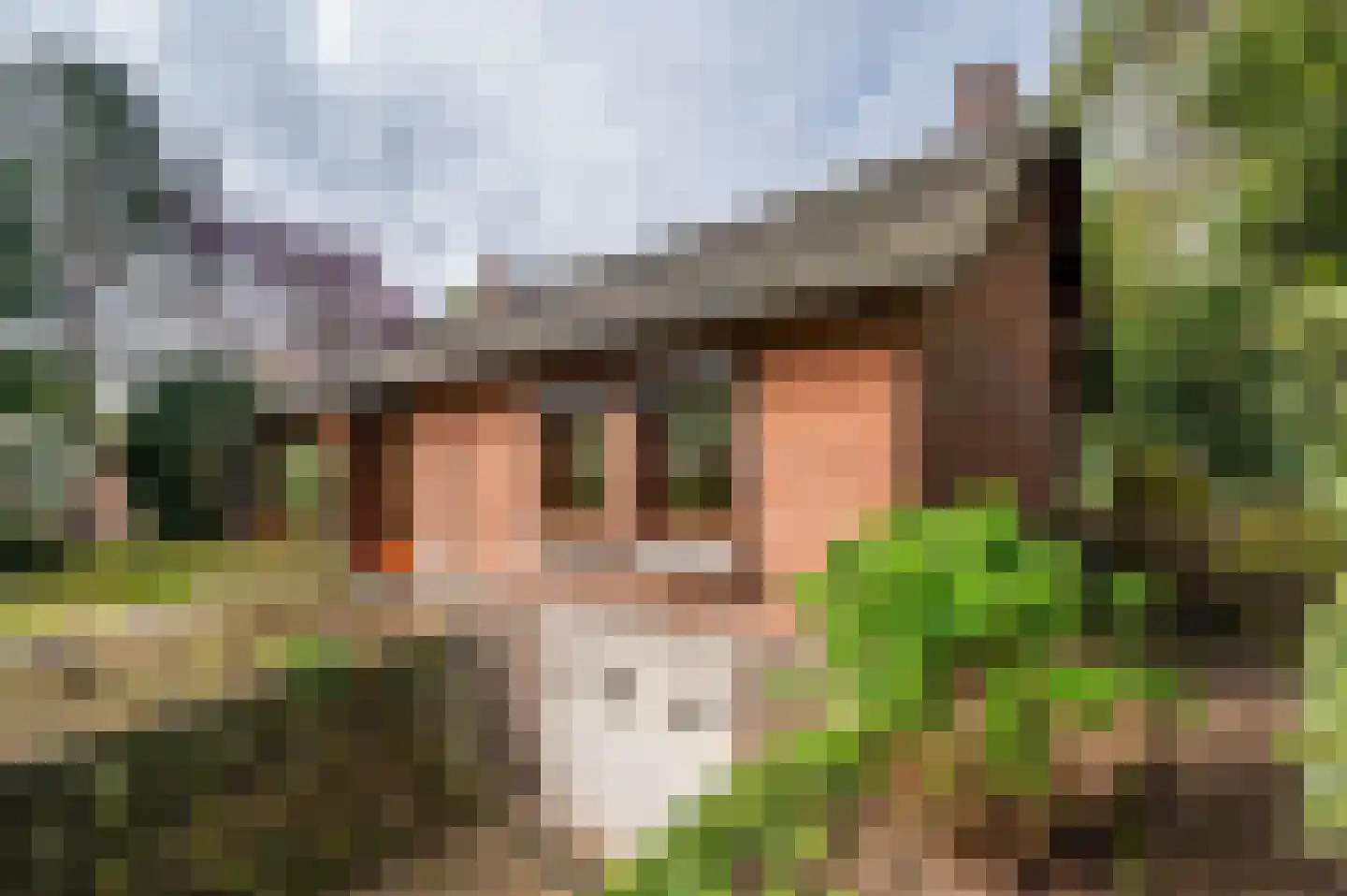 Roermondseweg 82 Haelen thumbnail 66