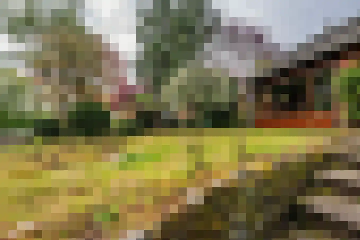 Roermondseweg 82 Haelen thumbnail 68