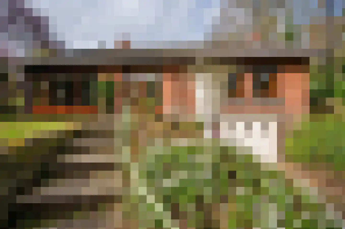 Roermondseweg 82 Haelen thumbnail 7
