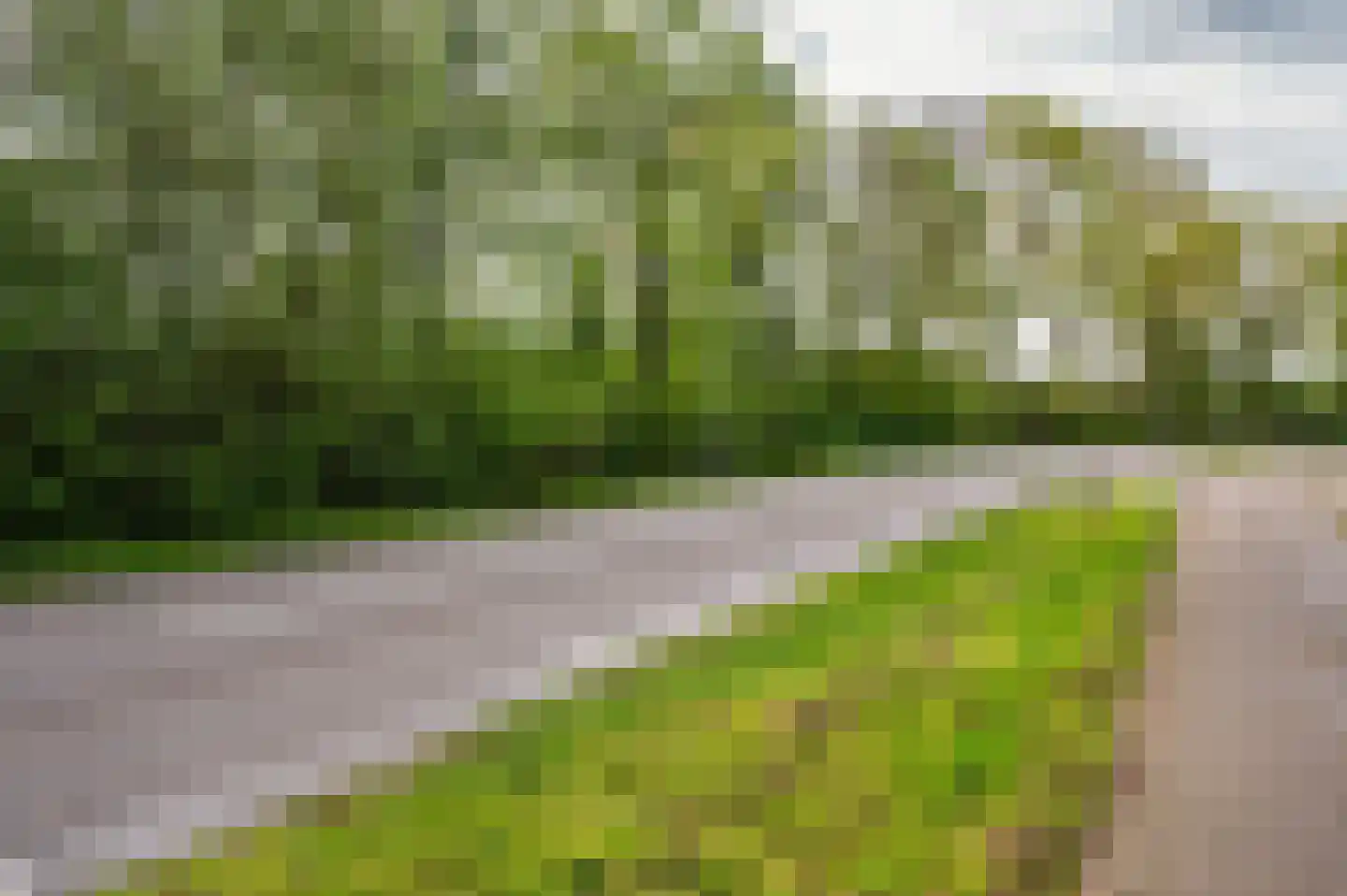Roermondseweg 82 Haelen thumbnail 70