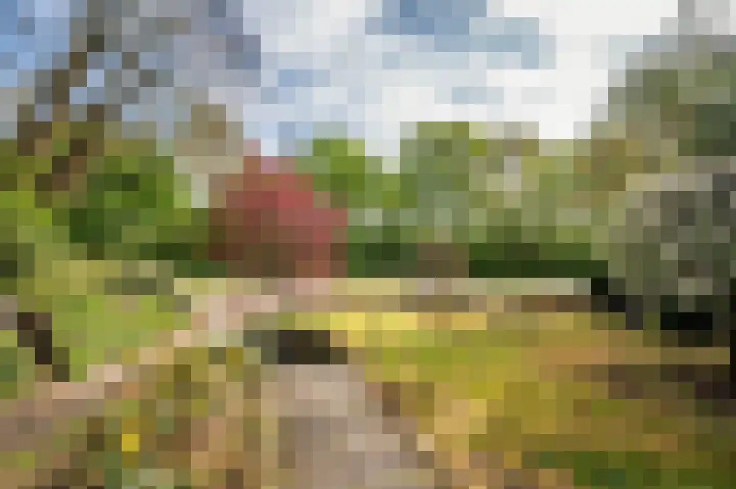 Roermondseweg 82 Haelen thumbnail 8