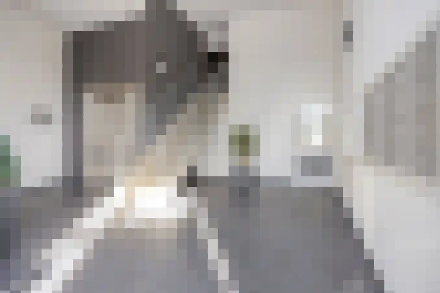 Roersingel 69 Roermond thumbnail 8