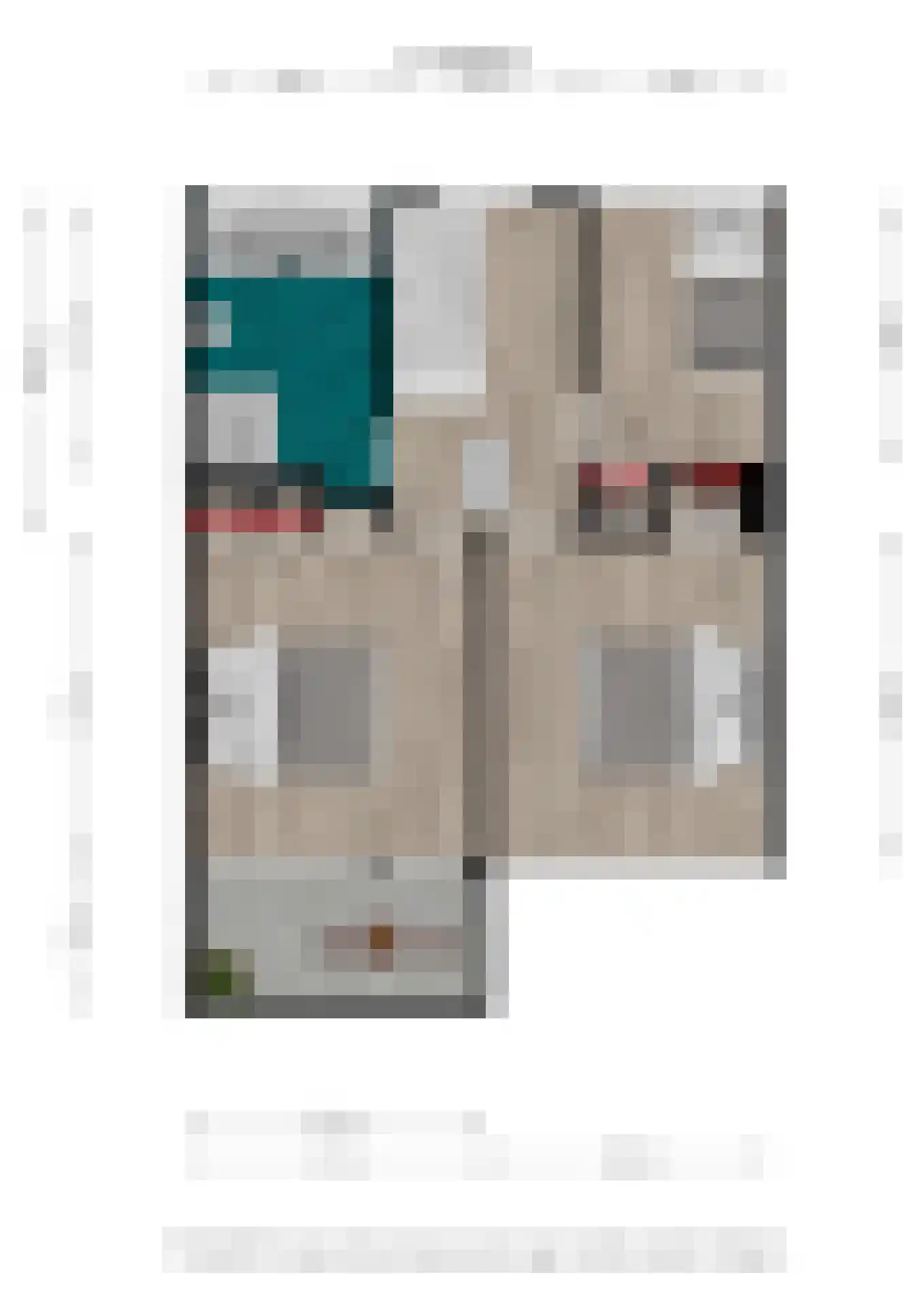 Roerstraat 10 Delfzijl thumbnail 41