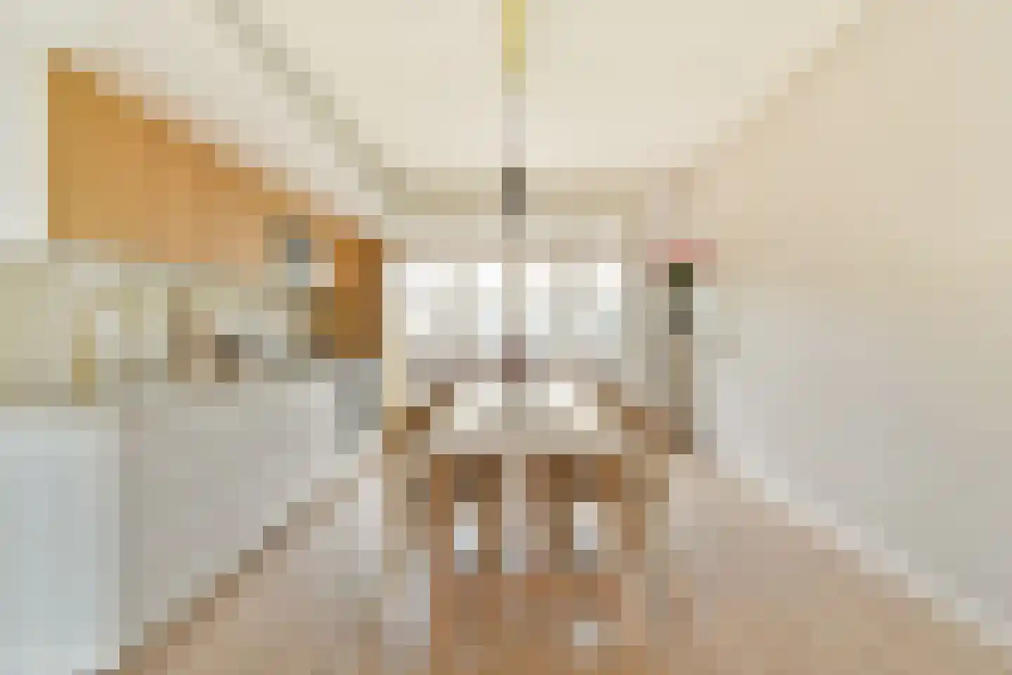 Roerstraat 103 3 Amsterdam thumbnail 7