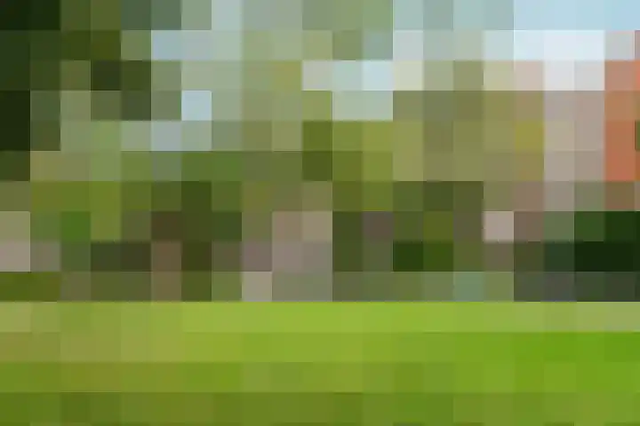 Roerstraat 106 1 Amsterdam thumbnail 48
