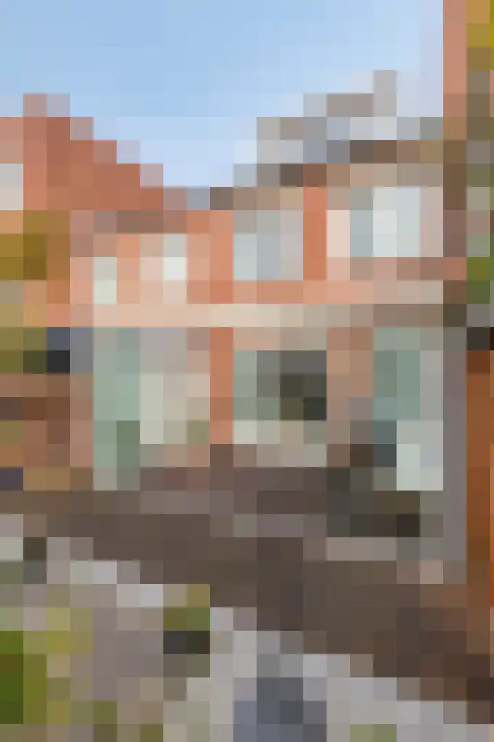 Roerstraat 106 Utrecht thumbnail 36