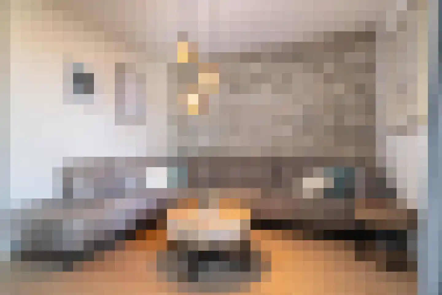 Roerstraat 11 Maasbracht thumbnail 11