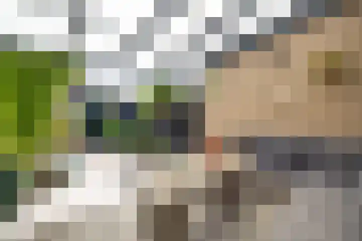 Roerstraat 12 Nieuwegein thumbnail 44
