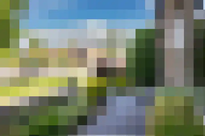 Roerstraat 12 Nieuwegein thumbnail 47