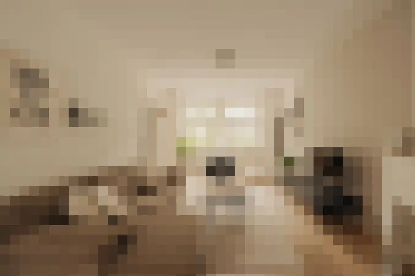 Roerstraat 14 2 Amsterdam thumbnail 12
