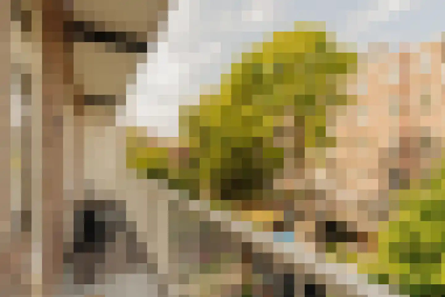 Roerstraat 14 2 Amsterdam thumbnail 7