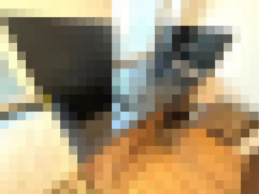 Roerstraat 21 Den Haag thumbnail 6