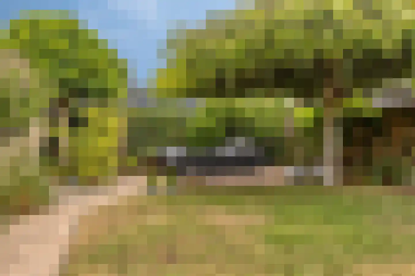 Roerstraat 23 Terneuzen thumbnail 33