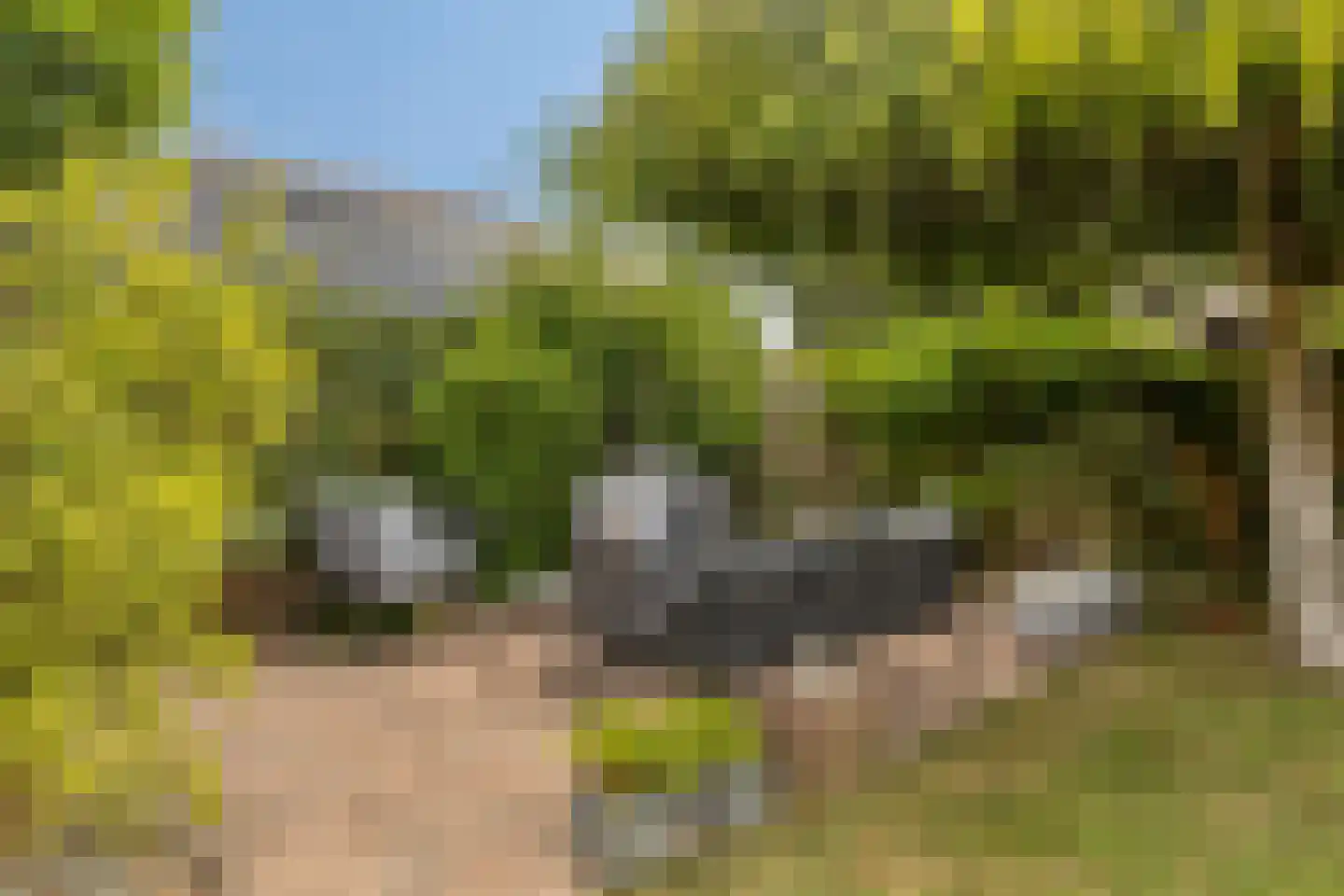 Roerstraat 23 Terneuzen thumbnail 34