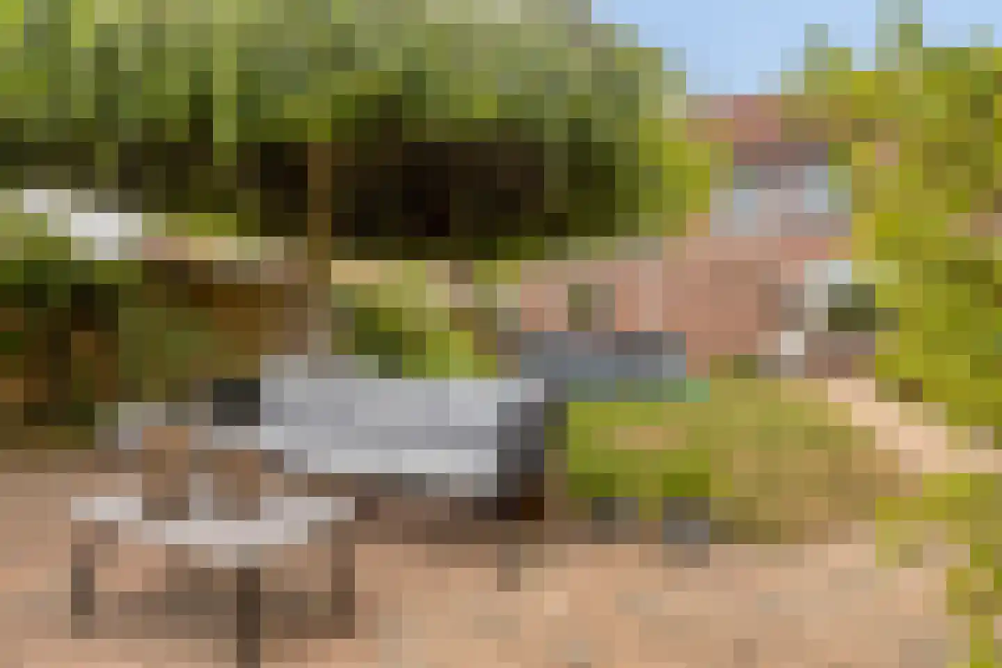 Roerstraat 23 Terneuzen thumbnail 36