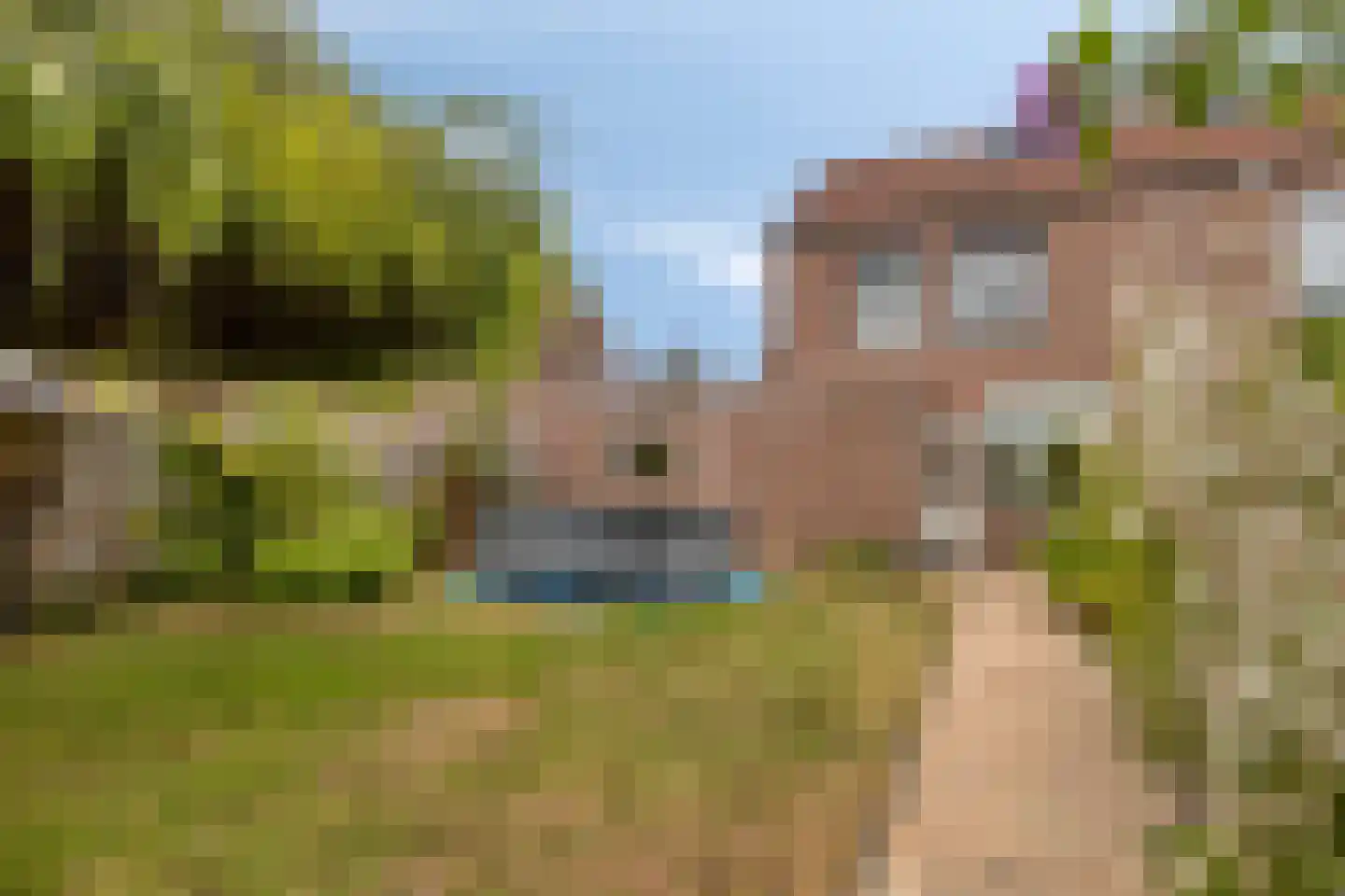 Roerstraat 23 Terneuzen thumbnail 37