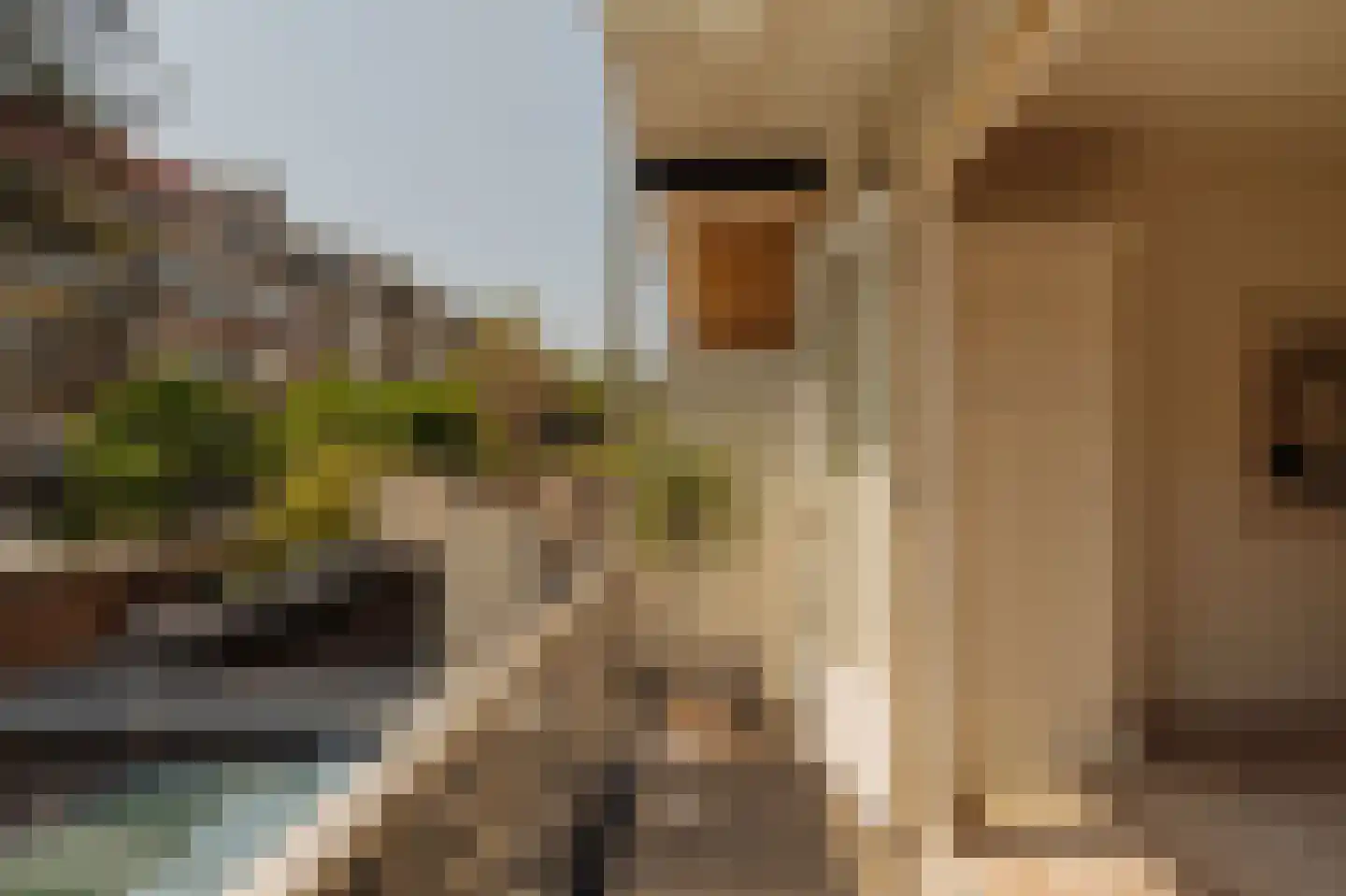 Roerstraat 25 1 Amsterdam thumbnail 20