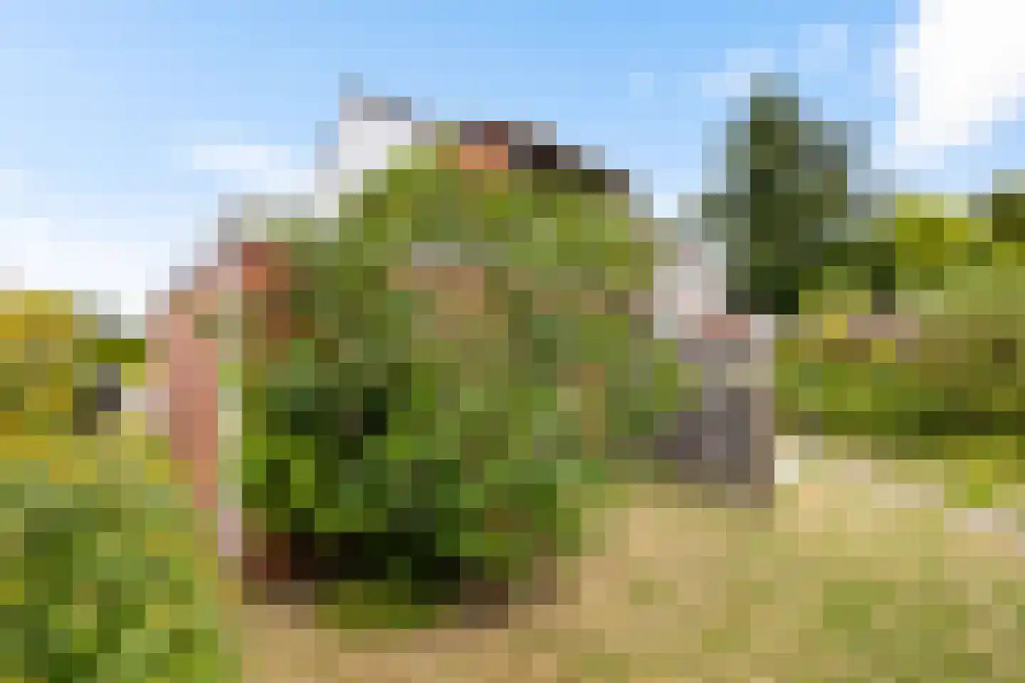 Roerstraat 30 Delfzijl thumbnail 26