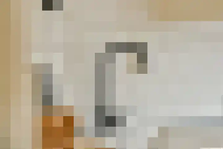 Roerstraat 33 1 Amsterdam thumbnail 10
