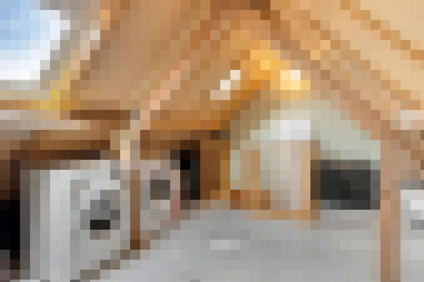 Roerstraat 33 Helmond thumbnail 31