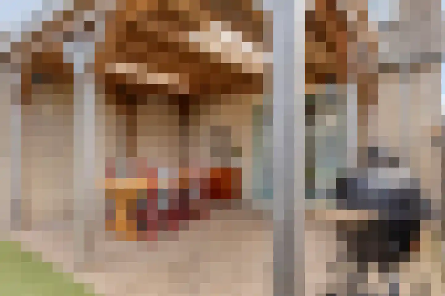Roerstraat 33 Helmond thumbnail 5