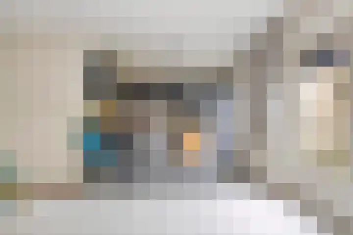 Roerstraat 35 Eindhoven thumbnail 14