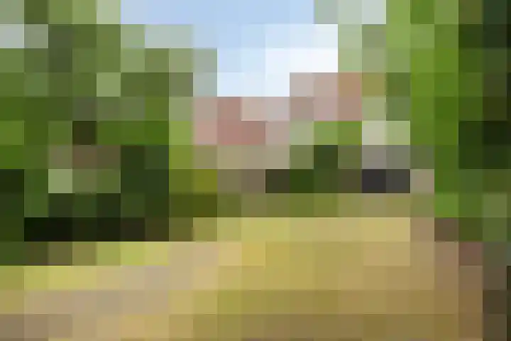 Roerstraat 35 Eindhoven thumbnail 31