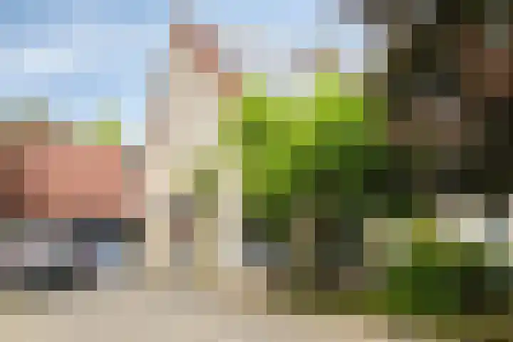 Roerstraat 35 Eindhoven thumbnail 33