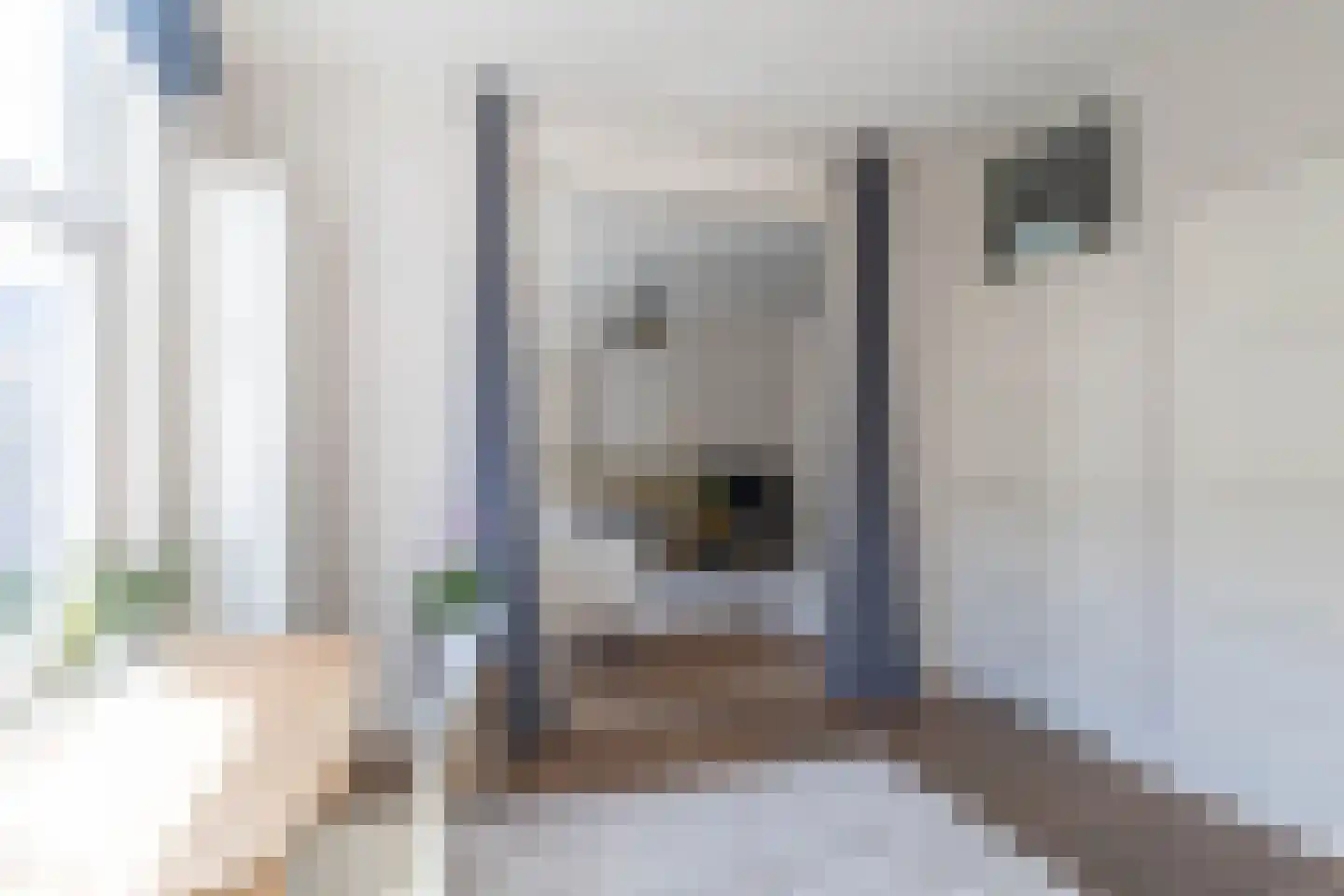 Roerstraat 36 1 Amsterdam thumbnail 15
