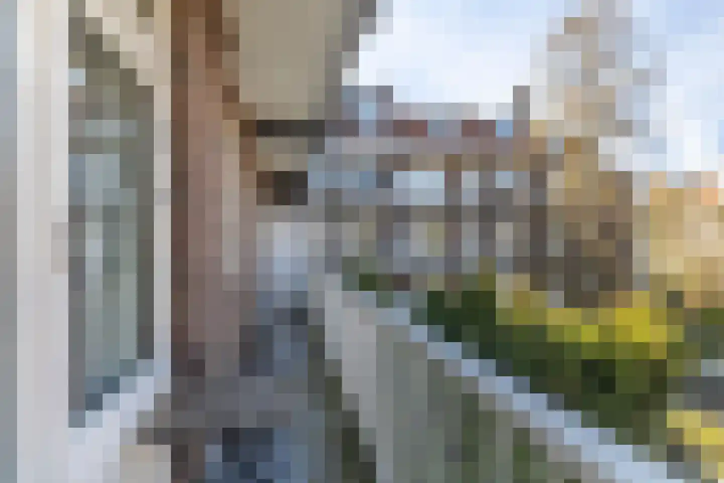 Roerstraat 36 2 Amsterdam thumbnail 25