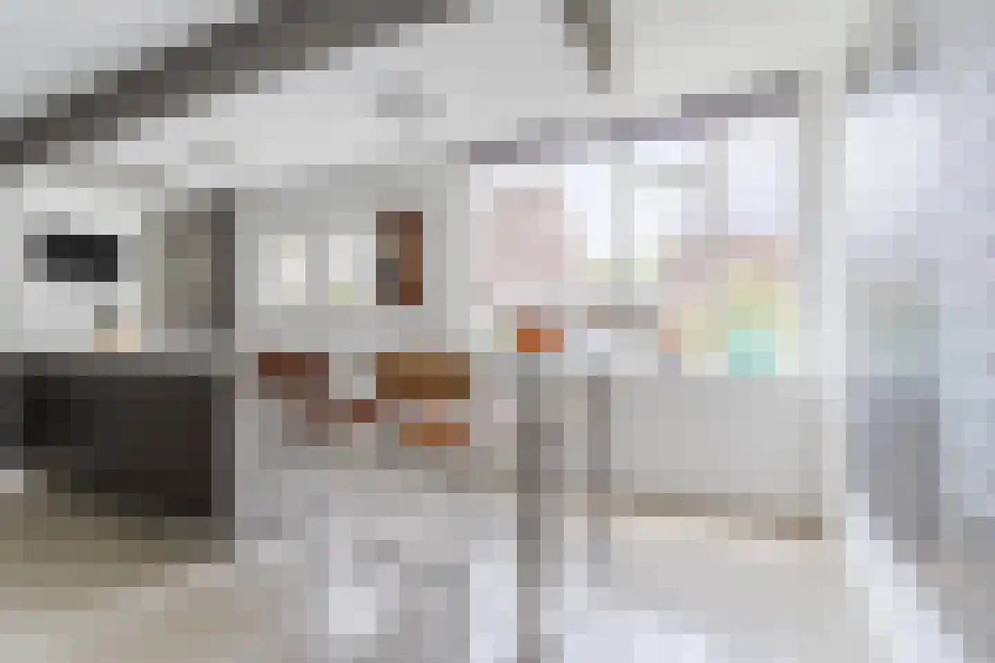 Roerstraat 36 Helmond thumbnail 17