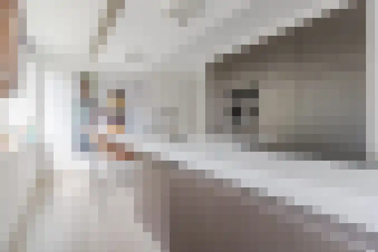 Roerstraat 36 Helmond thumbnail 23