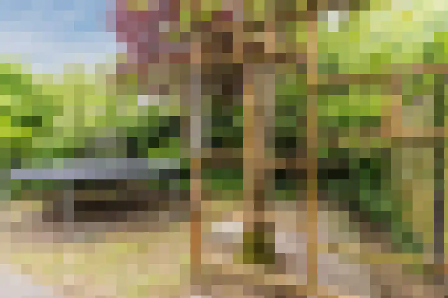 Roerstraat 36 Helmond thumbnail 45