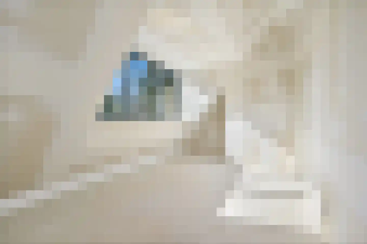Roerstraat 6 A Den Haag thumbnail 8