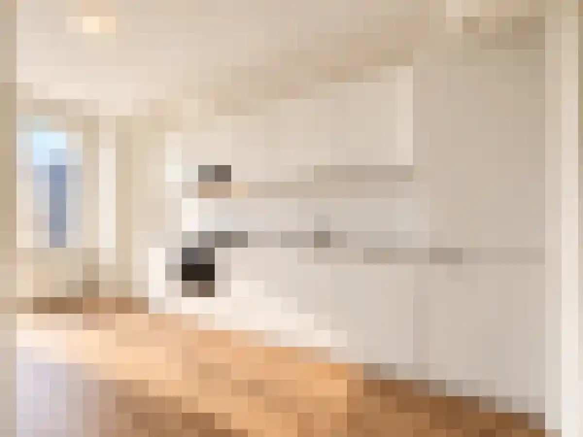 Roerstraat 64 Den Haag thumbnail 4