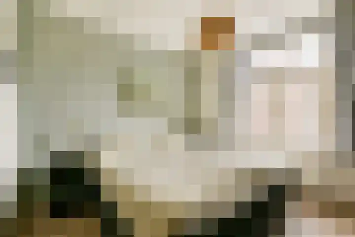 Roerstraat 7 1 Amsterdam thumbnail 22