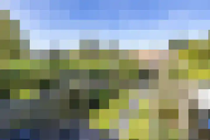 Roerstraat 8 Delfzijl thumbnail 23