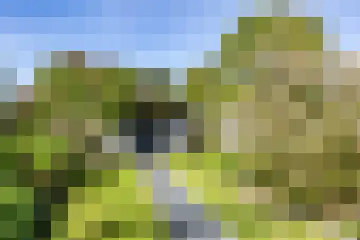 Roerstraat 8 Delfzijl thumbnail 41