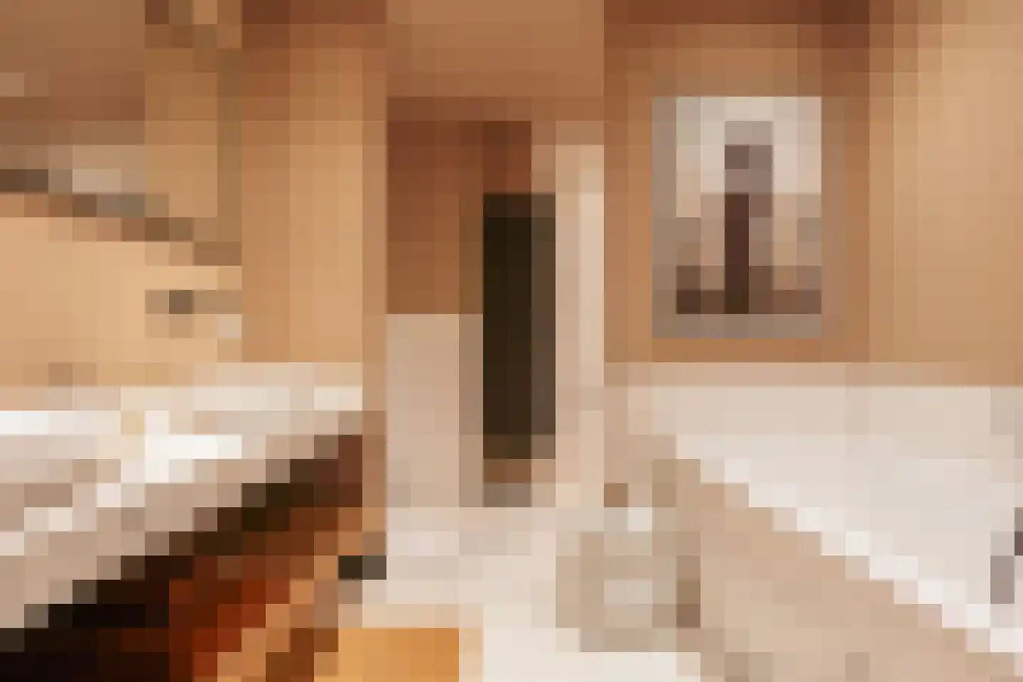 Roerstraat 87 Amsterdam thumbnail 22