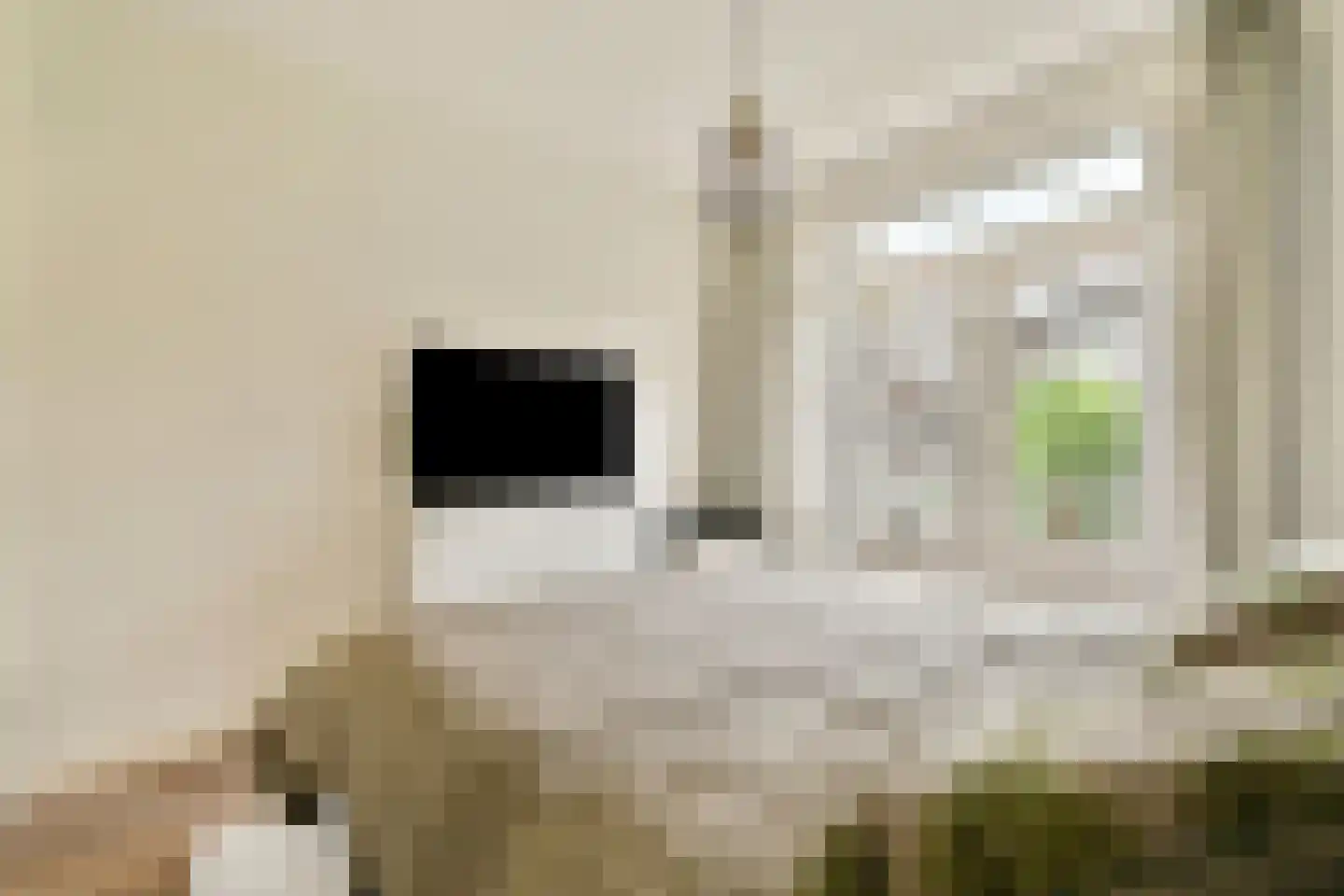 Roerstraat 9 2 Amsterdam thumbnail 22