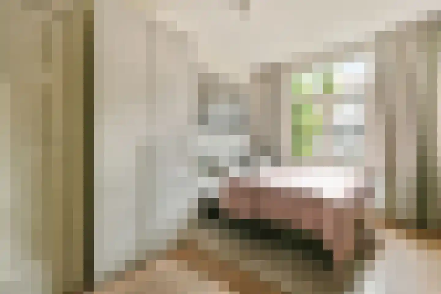 Roerstraat 9 2 Amsterdam thumbnail 24