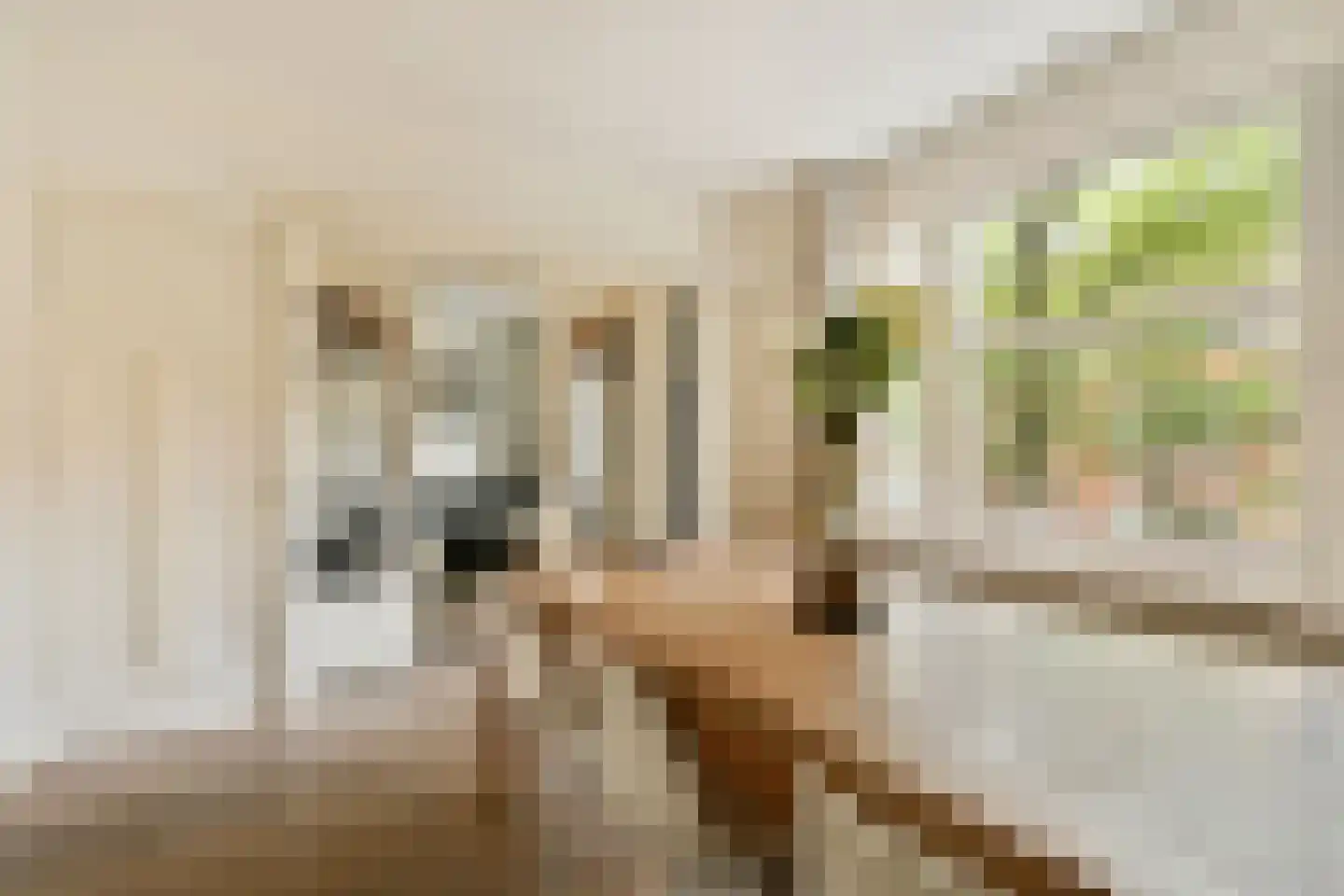 Roerstraat 9 2 Amsterdam thumbnail 8