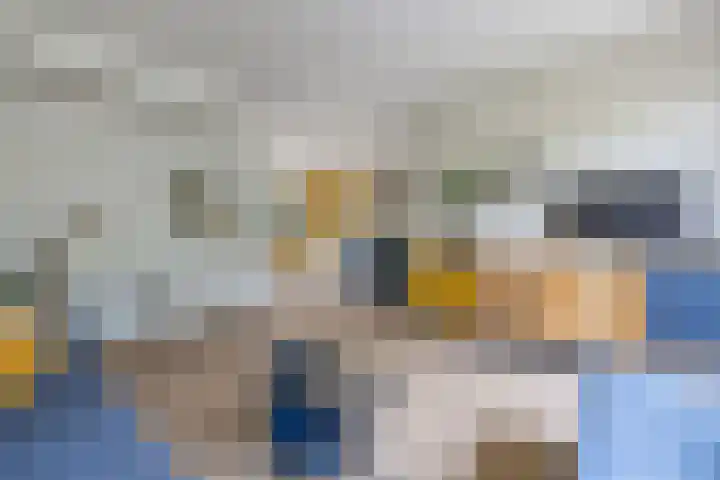 Roerstraat 9 Emmeloord thumbnail 13